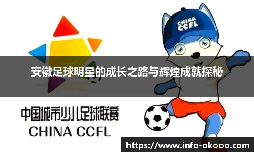 安徽足球明星的成长之路与辉煌成就探秘